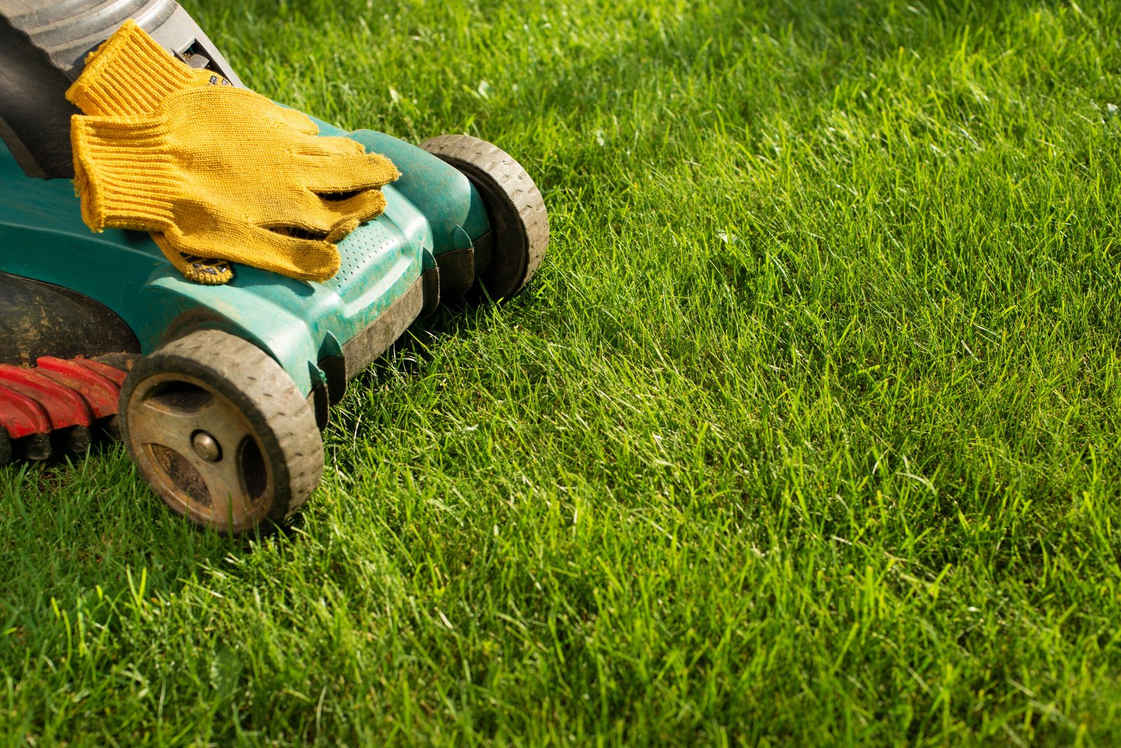 Alabama Lawn Care Calendar: A Month-by-Month Guide for Birmingham Homeowners