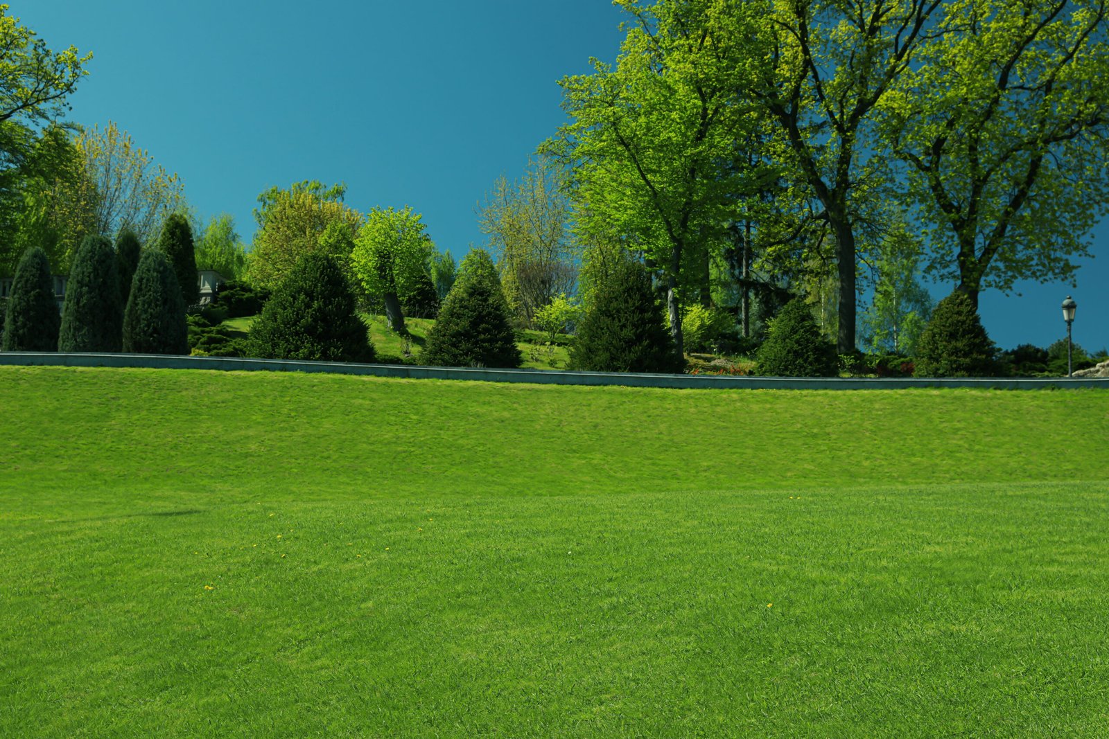 Best Grass Types for Birmingham Alabama Lawns in 2026