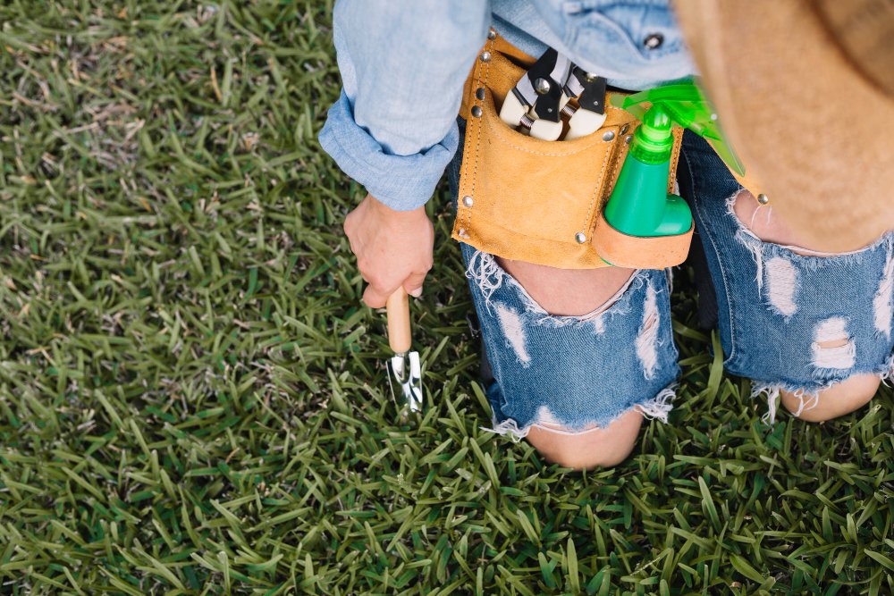 How to Prepare Your Alabama Lawn for Spring