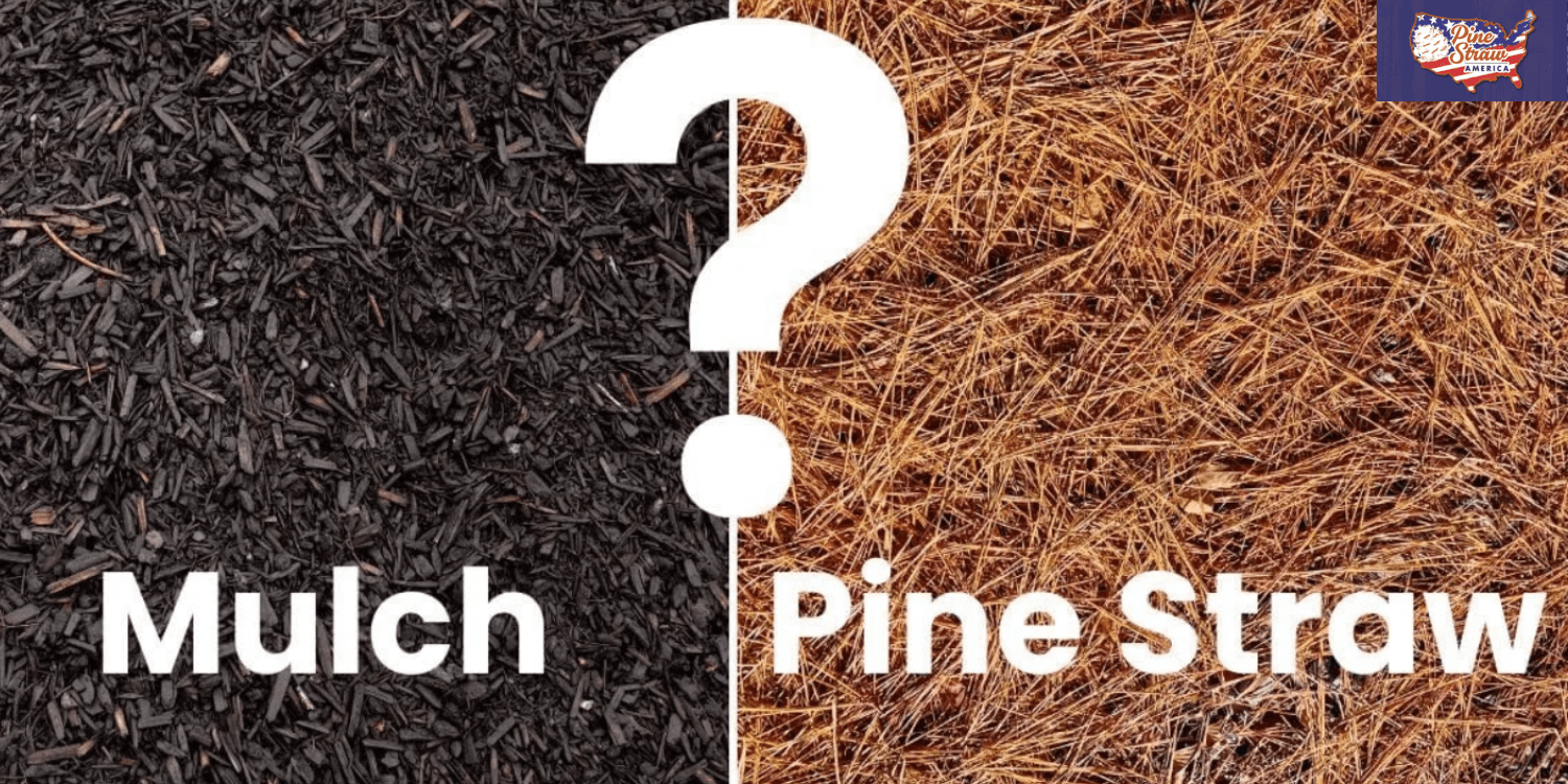 Pine Straw vs Mulch for Alabama Landscaping | Orange Circle